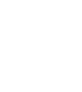 1頭1頭に寄り添い、心のこもったトリミング